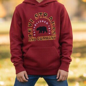 Levi's Youth Hoodie